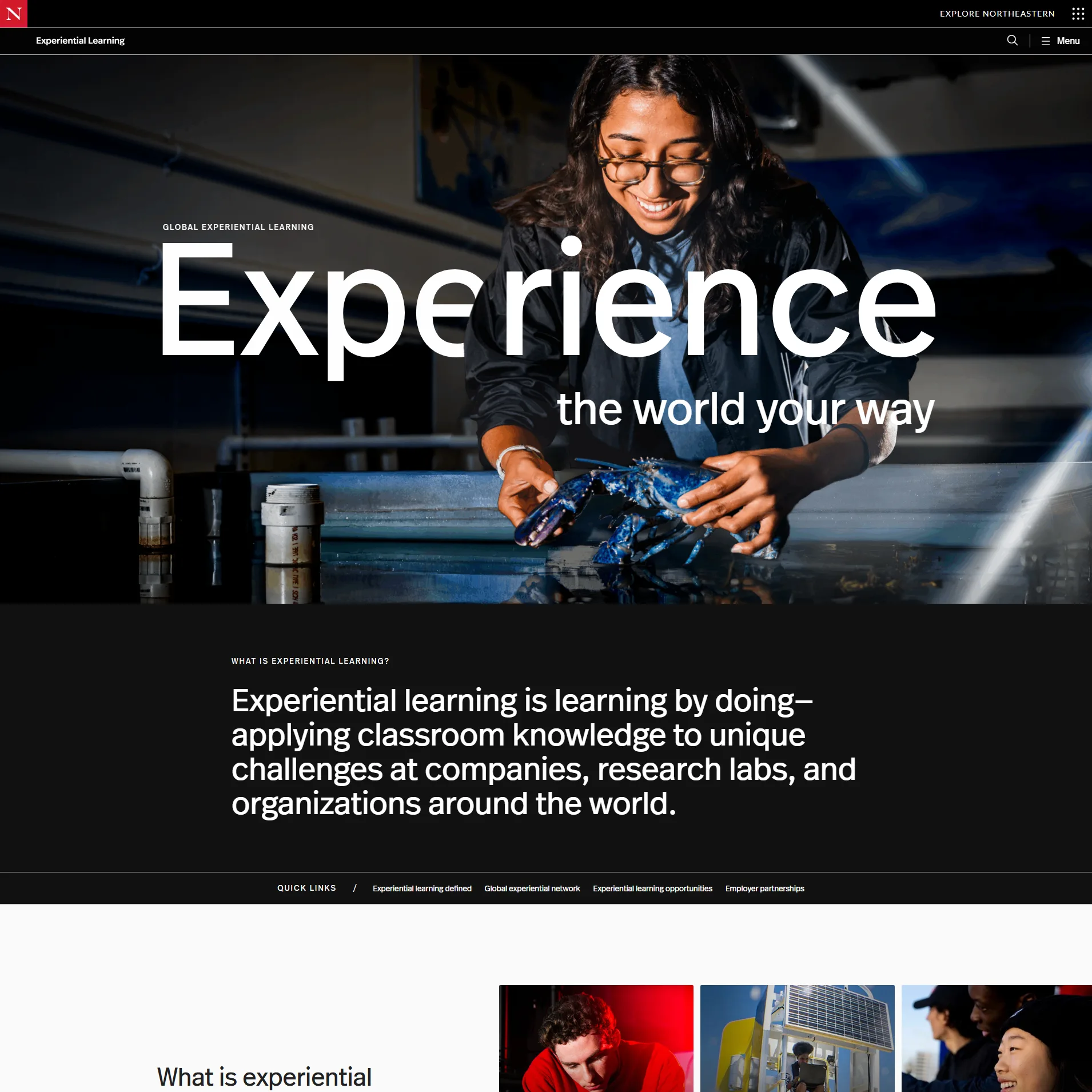 The top of the Northeastern website